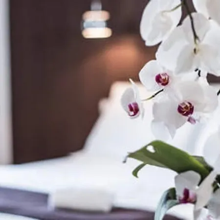 Hotel Belmonte Hotel, Dependance Alba Palace 3*