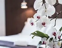 Belmonte Hotel, Dependance Alba Palace Favara